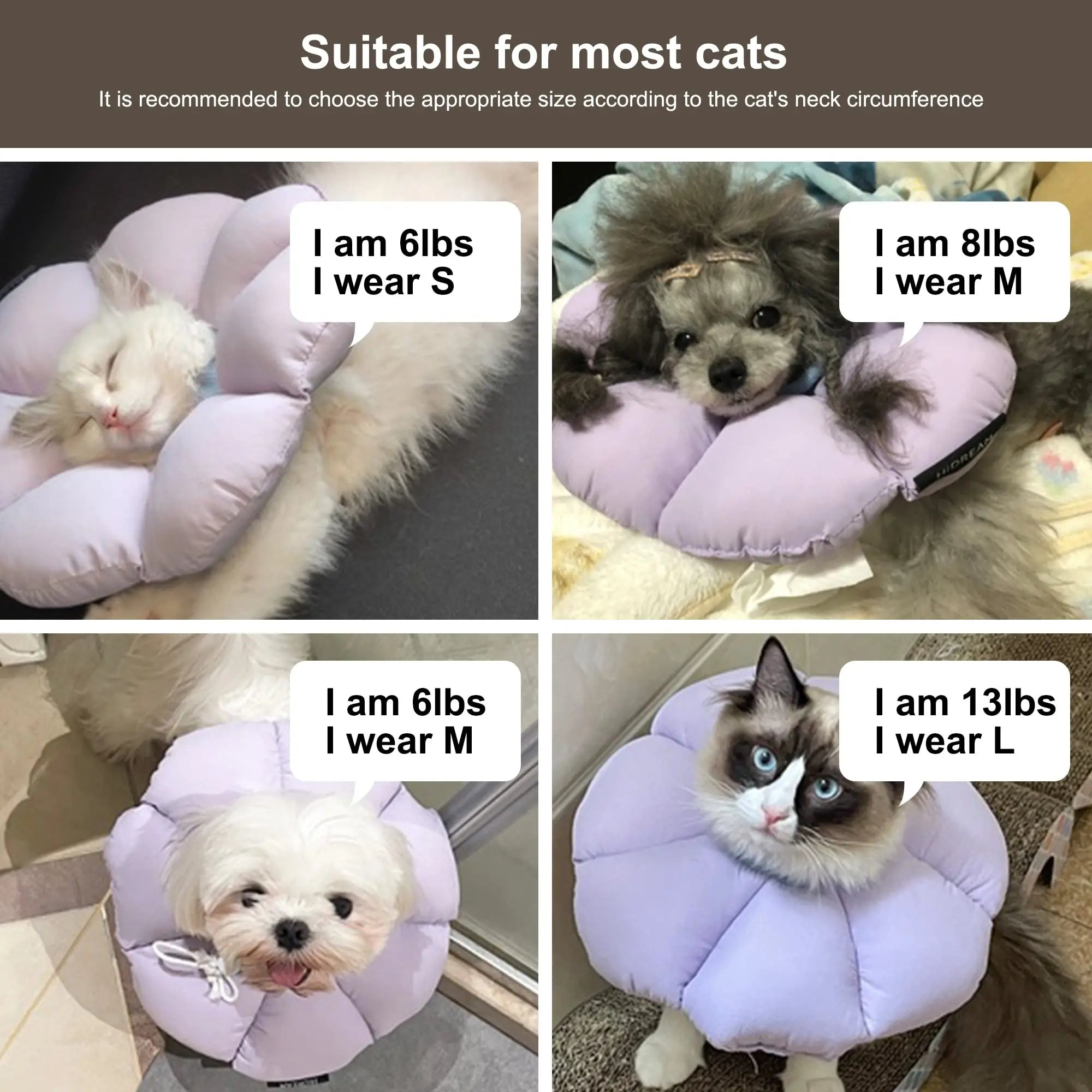 Waterproof Soft Cat Recovery Collar – Cute Flower Elizabethan Cone Alternative in 3 Sizes & 3 Colors