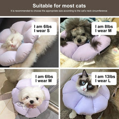 Waterproof Soft Cat Recovery Collar – Cute Flower Elizabethan Cone Alternative in 3 Sizes & 3 Colors