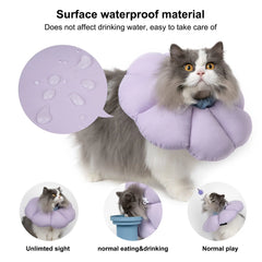 Waterproof Soft Cat Recovery Collar – Cute Flower Elizabethan Cone Alternative in 3 Sizes & 3 Colors