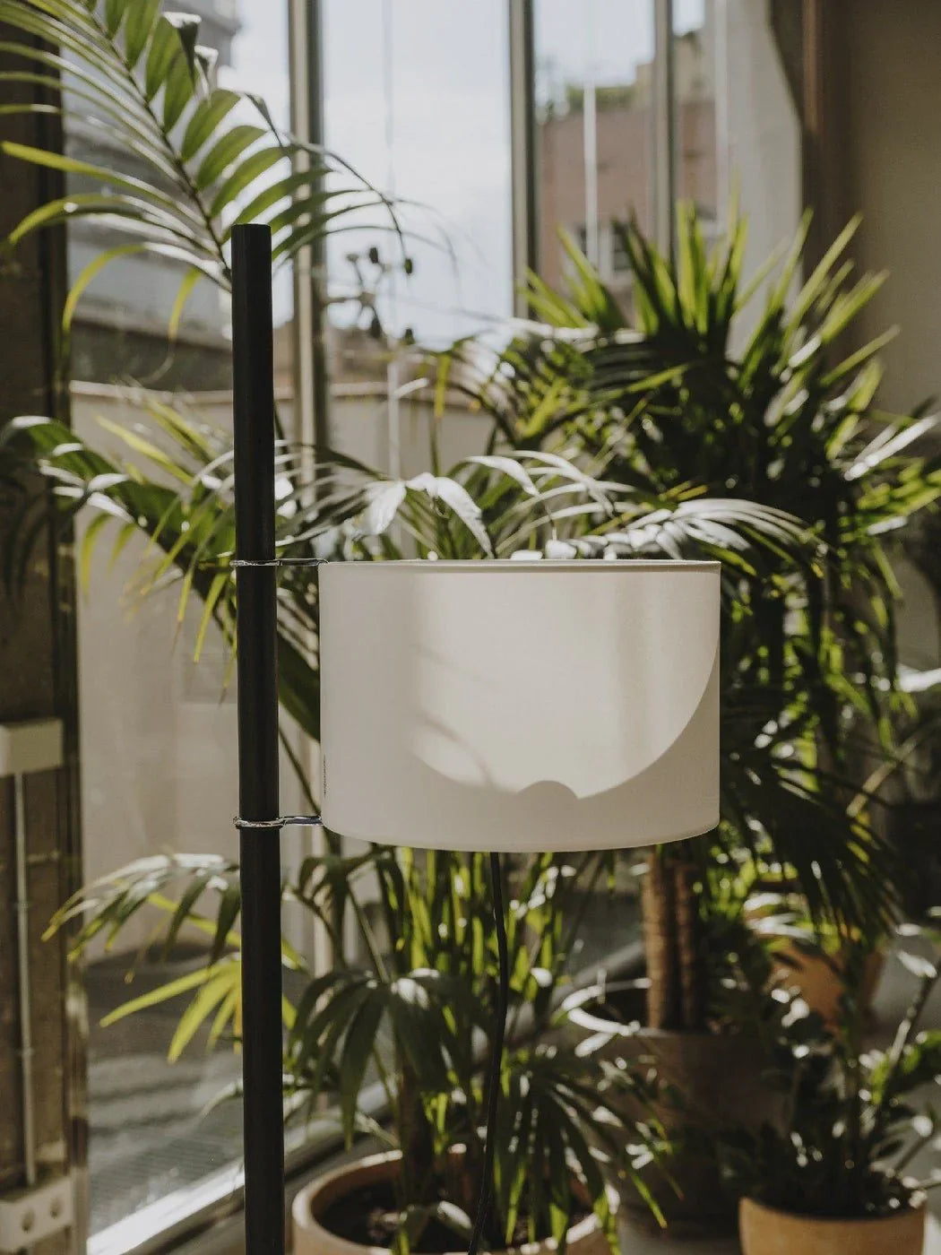 Wood Tmm Floor Lamp - NexioPick