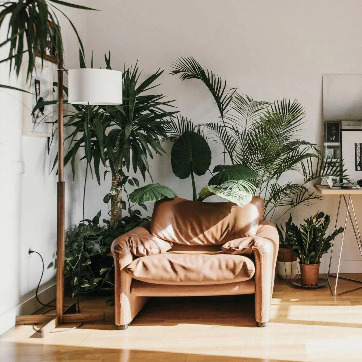 Wood Tmm Floor Lamp - NexioPick